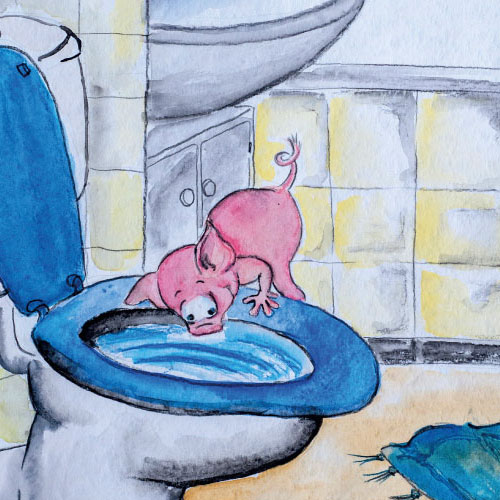 Kinderbuch: Das Kloschwein Dongo von Matthias Nowroth & Tina Junk