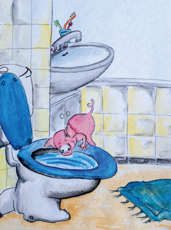 Kinderbuch: Das Kloschwein Dongo von Matthias Nowroth & Tina Junk
